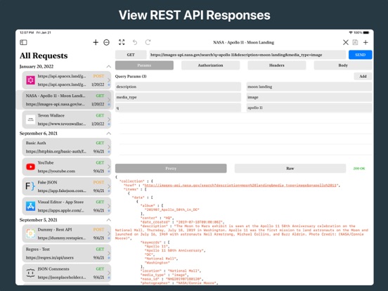 REST API Client screenshot 3
