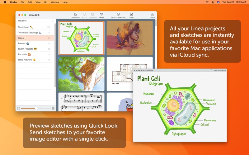 linea link problems & solutions and troubleshooting guide - 1