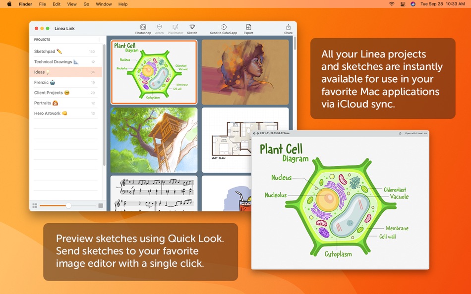 #1. Linea Link (macOS) 由: The Iconfactory