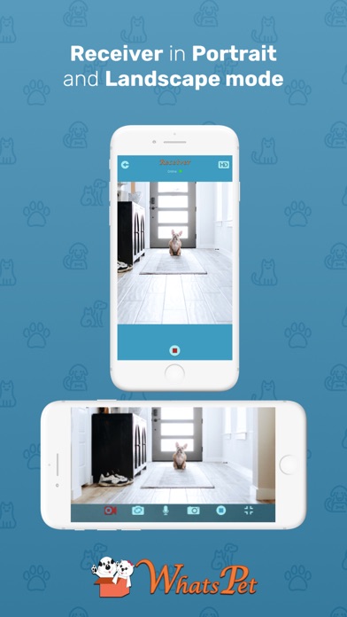 WhatsPet App -Dog Monitor App Screenshot