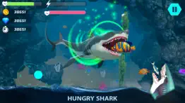 angry shark hunting shark game iphone screenshot 4