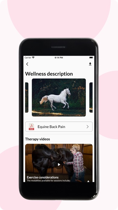 Inhand Equine Therapy Screenshot