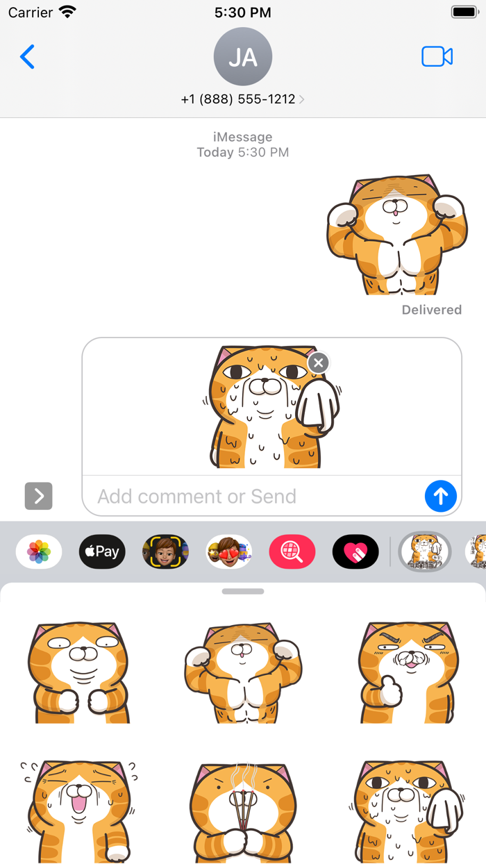 白爛貓 22 無字版