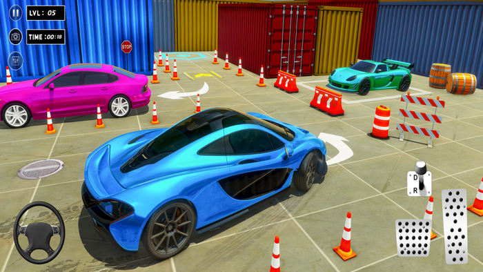 Luxury City Car Parking