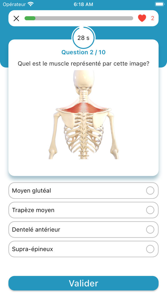 #9. Touch For Health - Quiz (iOS) 由: remy cutard