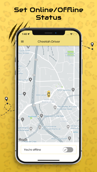 Cheetah Driver Screenshot