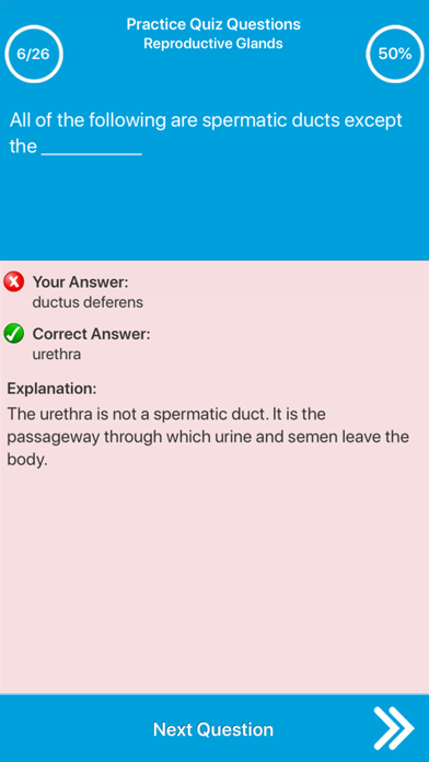 Male Reproductive System Screenshot