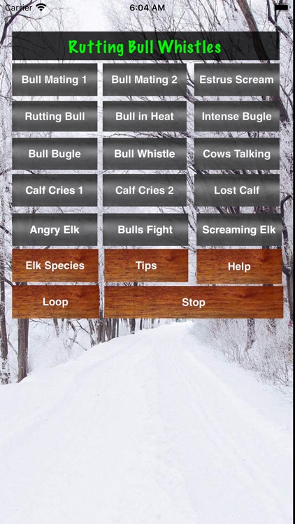 Elk Bull & Cow Hunting Calls