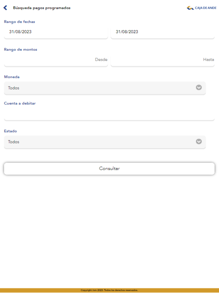 Caja de ANDE Digital