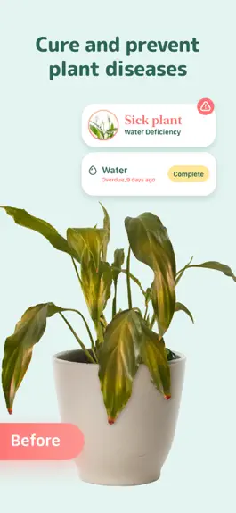 Game screenshot Blossom - Plant Care Guide mod apk