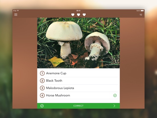 Mushrooms PRO - Hunting Safe iPad app afbeelding 4