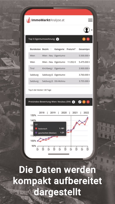 ImmoMarktAnalyse Screenshot