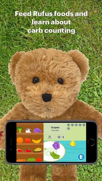 Rufus, the Bear with Diabetes screenshot-4