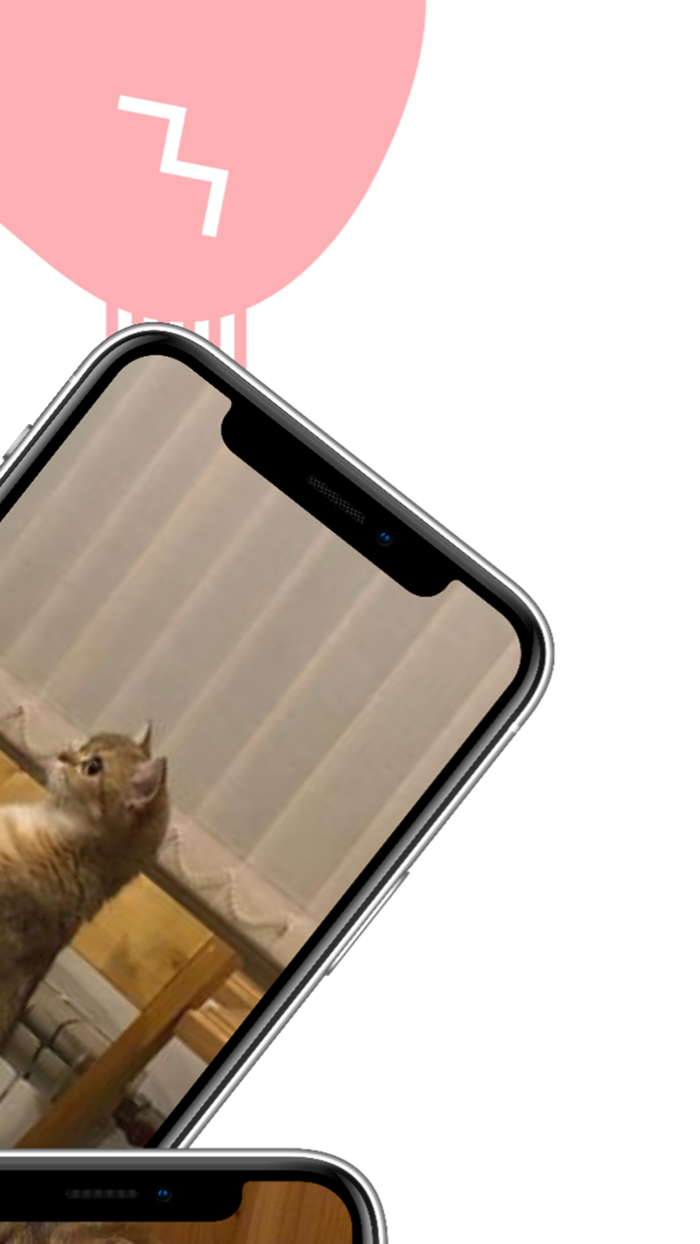 Пончик для Буси