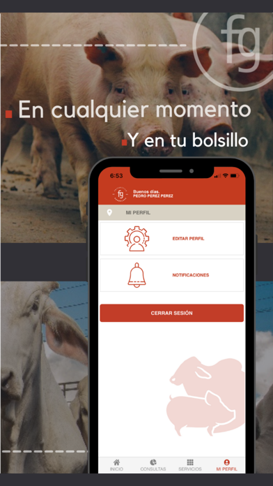 FRIGORIFICO GUADALUPE Screenshot