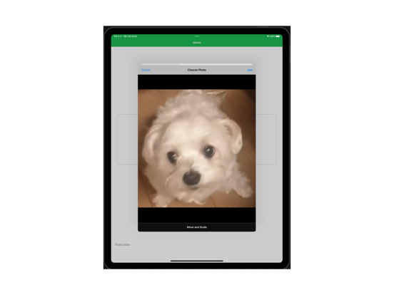 Dog Mood Detector: AI Analysis iPad screenshot 1 - Education app