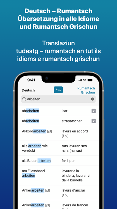 Dicziunari Rumantsch Screenshot