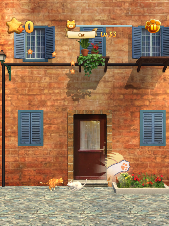 Cat and Dancing iPad screenshot