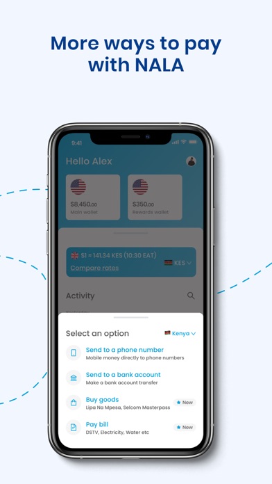 NALA Send Money to Africa Screenshot