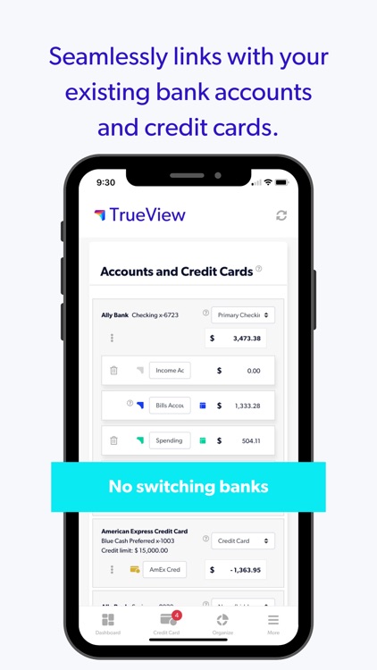 TrueView:Crazy Simple CashFlow screenshot-8