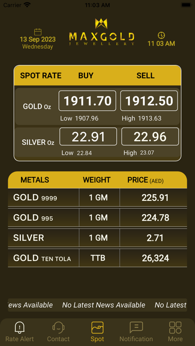 MAX GOLD Screenshot
