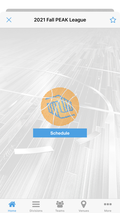 PEAK Hoops Seattle Screenshot