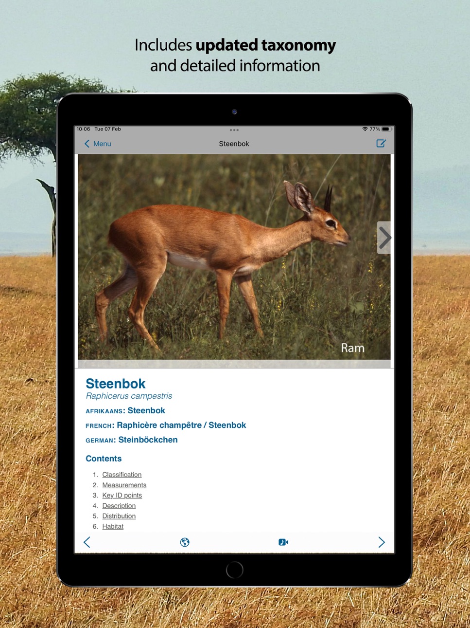 iPad screenshot