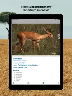 Stuarts' SA Mammals iPad image 2