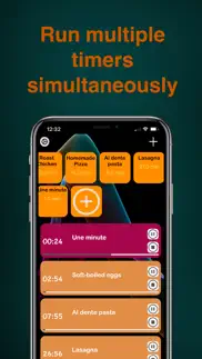 multi timer @pro iphone screenshot 1