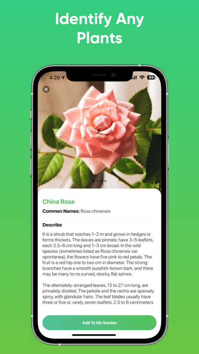 Plantnet Plant Identification Screenshot
