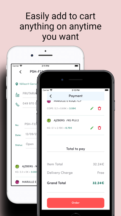 DoniFruits Screenshot