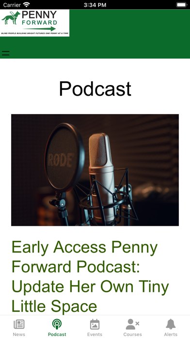 Penny Forward Screenshot