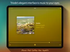 Triode - Internet Radio iPad image 1
