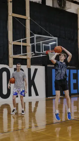 Game screenshot Heyen Hoops mod apk