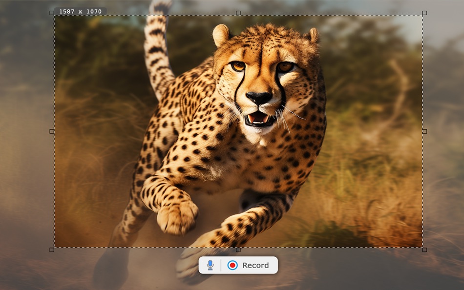 #1. Floomby Rec: Screen Recorder (macOS) Bởi: Aleksei Levin