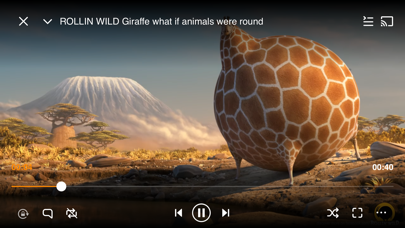 VLC media player Screenshot