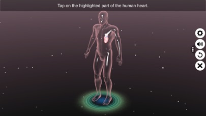 Sections of human heart Screenshot