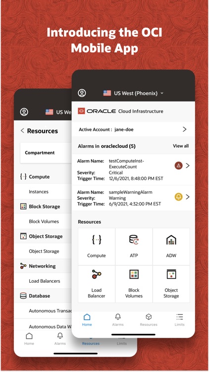 Oracle Cloud Infrastructure