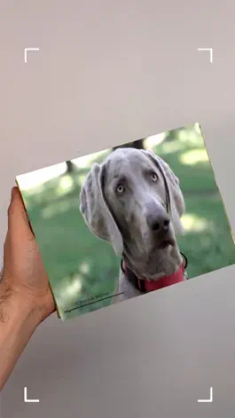 Game screenshot OnPlay hack