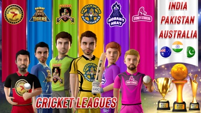 RVG Real World Cricket Game 3Dのおすすめ画像5