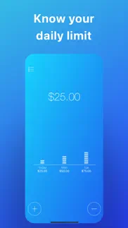 daily budget original pro iphone screenshot 1