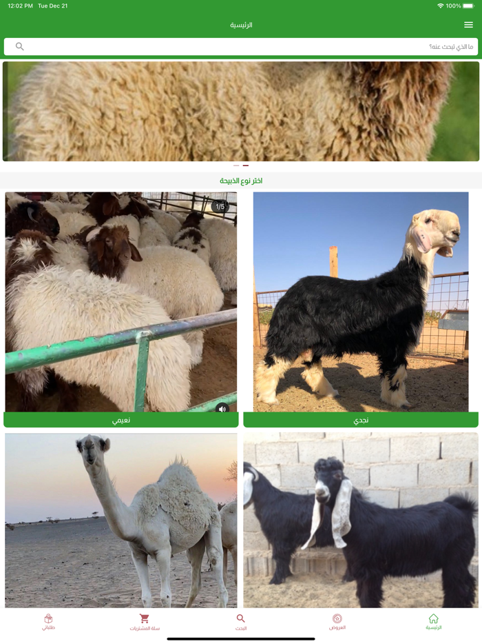 مرعى القصيم