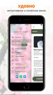 fleur de mary iphone screenshot 2