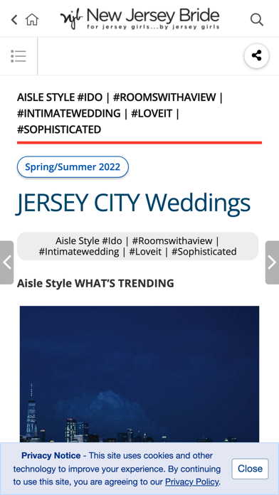 New Jersey Bride Magazine Screenshot