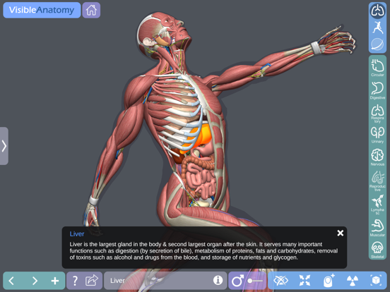 Visible Anatomyのおすすめ画像10