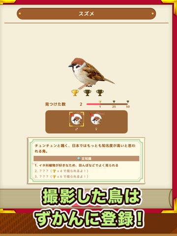 鳥クエスト - 鳥探しオートバトルRPGのおすすめ画像3