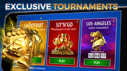 Texas Poker Pro screenshot 2