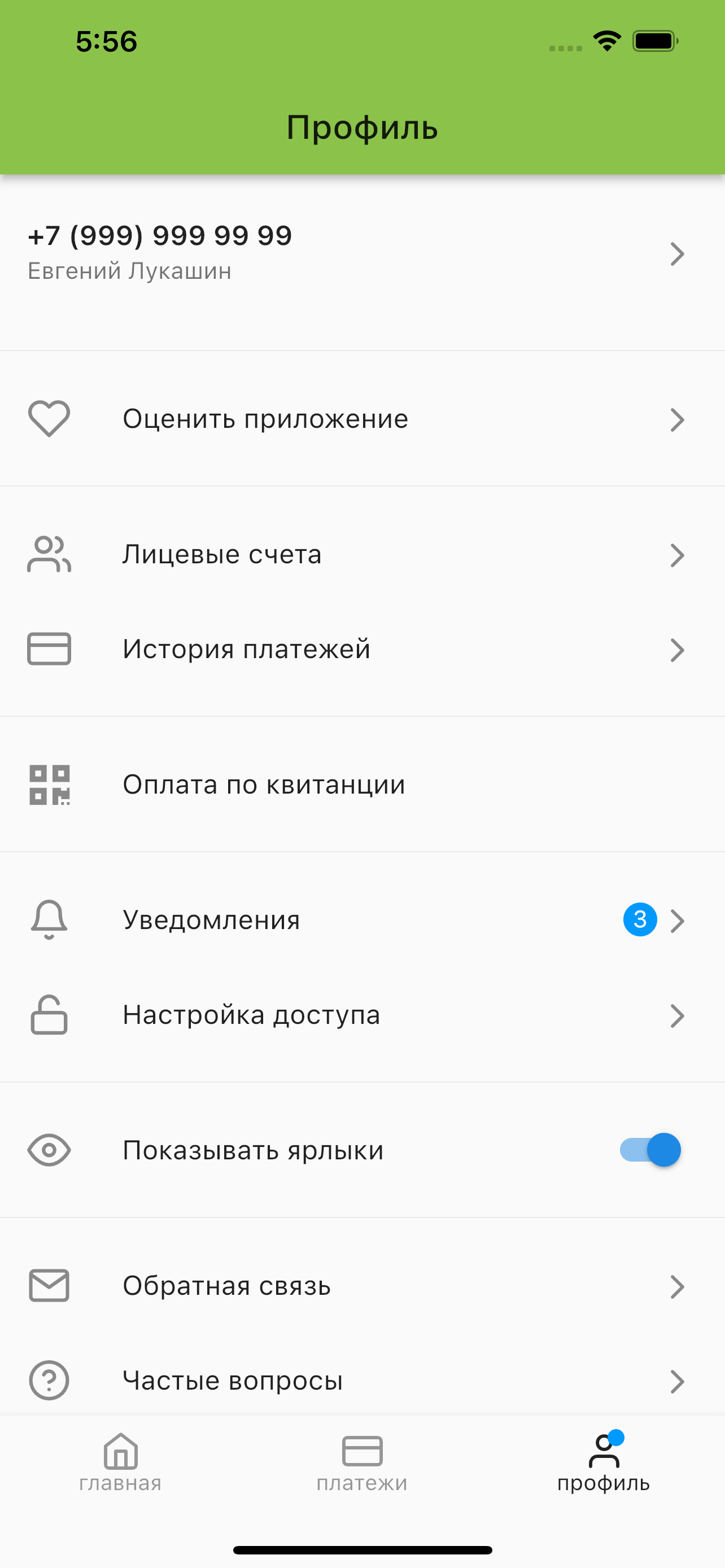 Экологистика