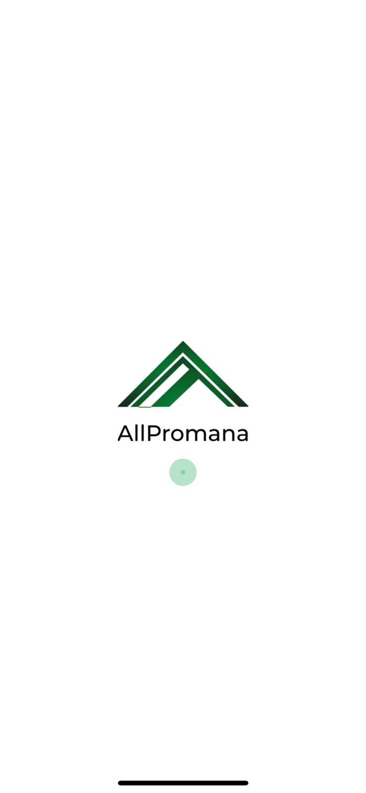 AllProPlus Project management
