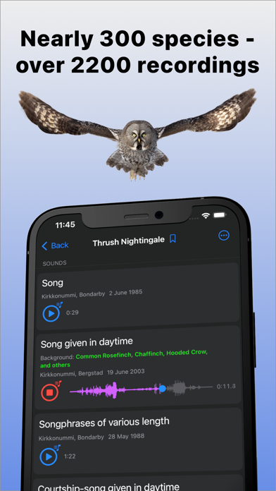 Bird Sounds of Northern Europe Screenshot